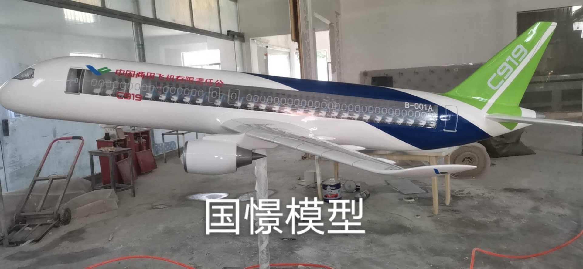 廉江市飞机模型